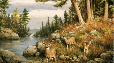 Hunting Wall Murals Hunting Fishing Camping Hautman Brothers Deer