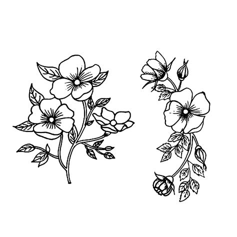 Free flower clipart outline, Download Free flower clipart outline png images, Free ClipArts on ...