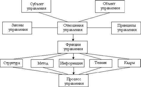 1.4 Виды менеджмента