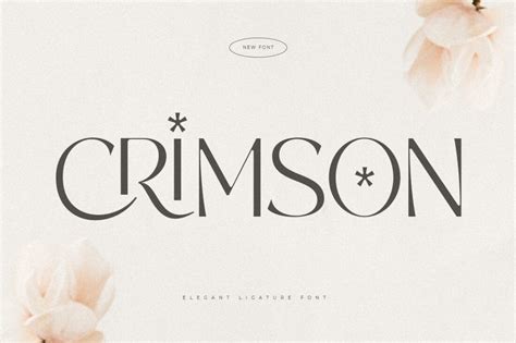 35+ Best Aesthetic Fonts in 2024 | Design Shack