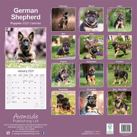 Duitse Herder Puppies Kalender Kopen Bestel Eenvoudig Online