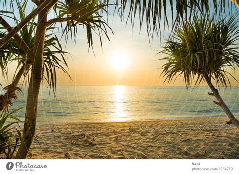 Sonnenuntergang Am Tropischen Strand Mit Palmen Ein Lizenzfreies