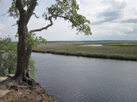 Significant Land Acquisition Will Benefit Apalachicola Bay Apalachicola Riverkeeper