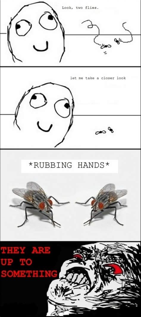 plotting flies - Meme by bigbeel :) Memedroid