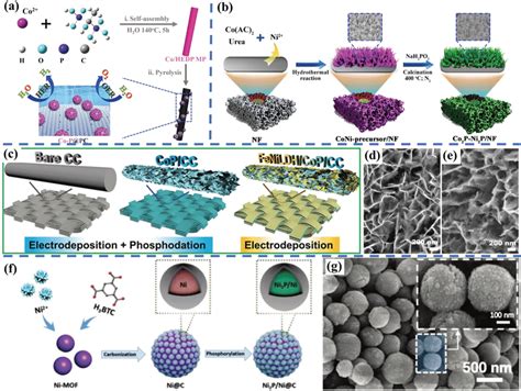 A Schematic Illustration Of The Ecofriendly Tmp‐derived Strategy For