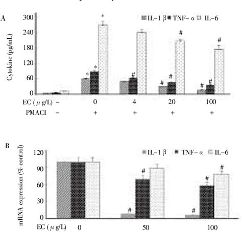 Figure 3 From Role Of Erkmapk Signalling Pathway In Anti Inflammatory