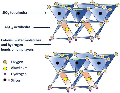 Nanoclays In Medicine A New Frontier Of An Ancient Medical Practice