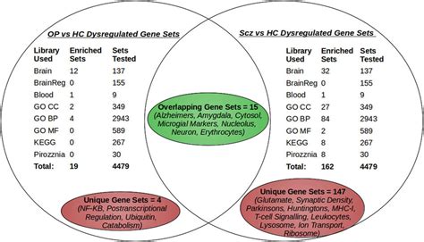 Summary Of Enrichment Results For Schizophrenia And Other Psychosis