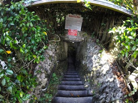 Devils Den The Coolest Cavern And Fresh Water Spring In Florida