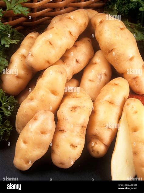 Anya Potatoes Solanum Tuberosum Stock Photo Alamy