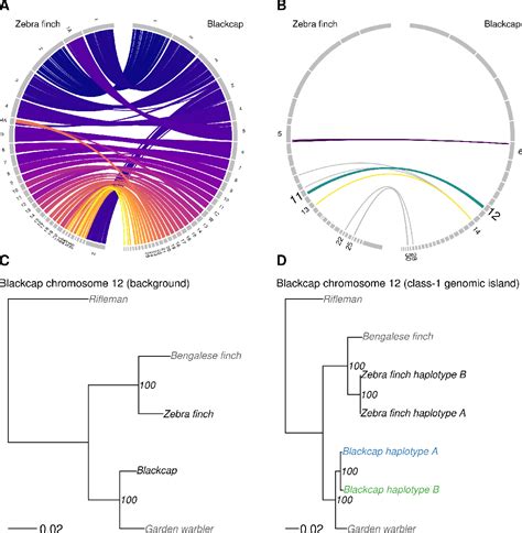 Figure From Recombination Suppression And Selection Affect Local