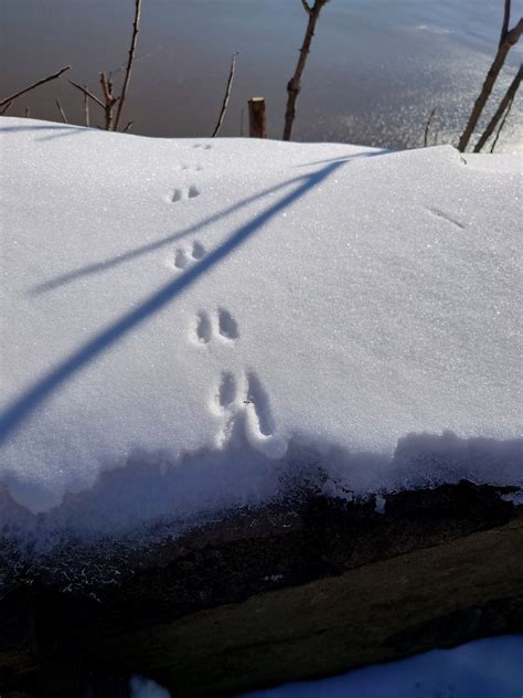 雪山ハイキング Hiking Through Snow タカペン Taka Pen S Blurt Log