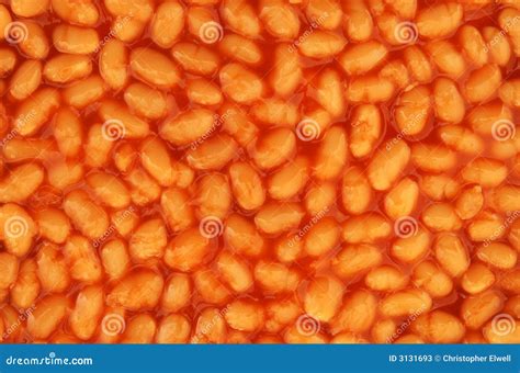 Baked Beans Background Texture Stock Photos - Image: 3131693