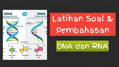 Latihan Soal DNA Dan RNA YouTube