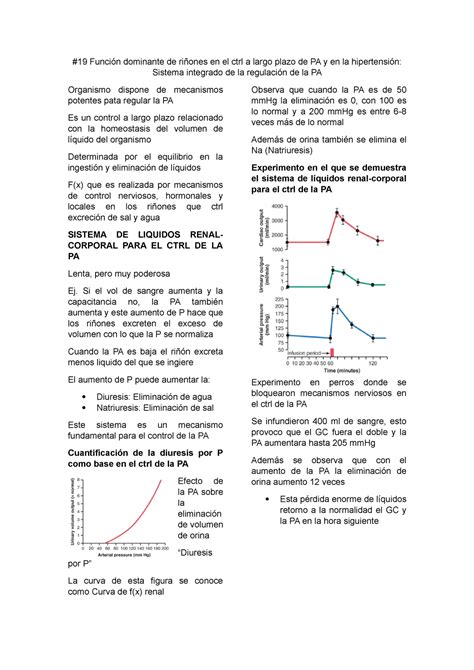 19 Función Dominante De Riñones En El Ctrl A Largo Plazo De Pa Y En La Hipertensión 19