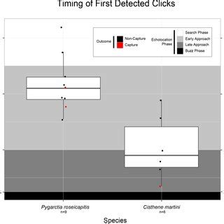 Inter Pulse Interval IPI Between The Two Bat Calls Immediately