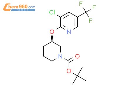 1421048 87 4r 3 3 氯 5 三氟甲基吡啶 2 基氧基哌啶 1 羧酸叔丁酯化学式、结构式、分子式、mol