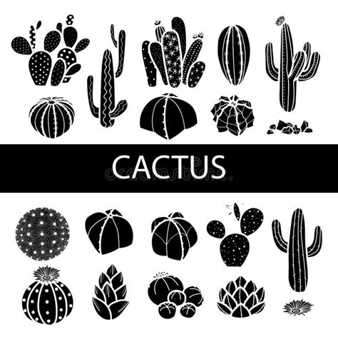 Sistema De Cactus Y De Succulents Aislados De La Silueta Illustr Del