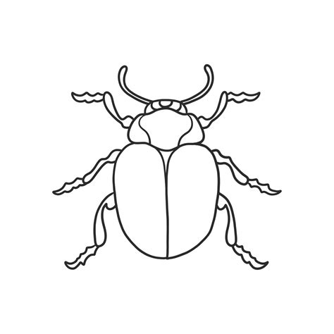 Bug Png Hd Png Mart