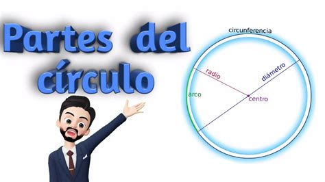 Partes Del CÍrculo Muy Fácil CÍrculo Y Circunferencia Youtube