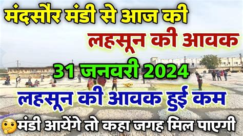 मंदसौर मंडी आज की लहसुन की आवक 31 जनवरी 2024 Mandsaur Mandi Update