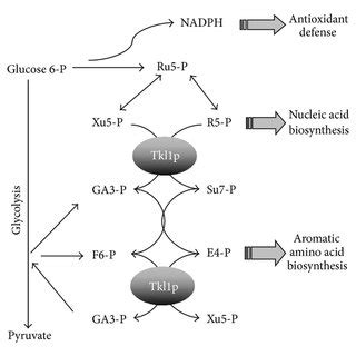 Deglutathionylation Of Fluorescently Labelled Proteins With Eosin GSH