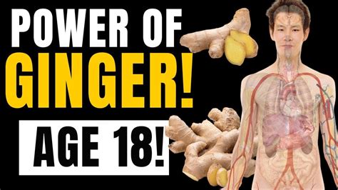 Are You Over 18 5 Powerful Benefits Of Ginger Health Benefits Of