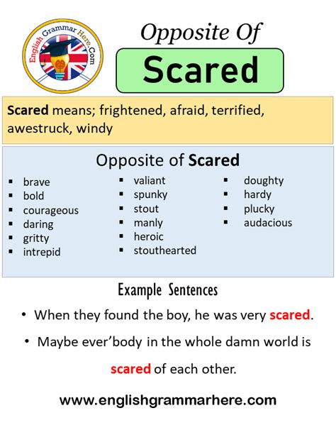 Adjectives For Scared