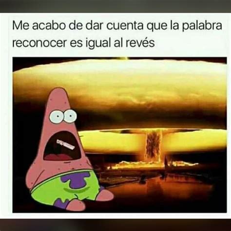 Todos Dicen Jaja Que Bueno Está Tu Meme Pero Nadie Dice Jaja Que