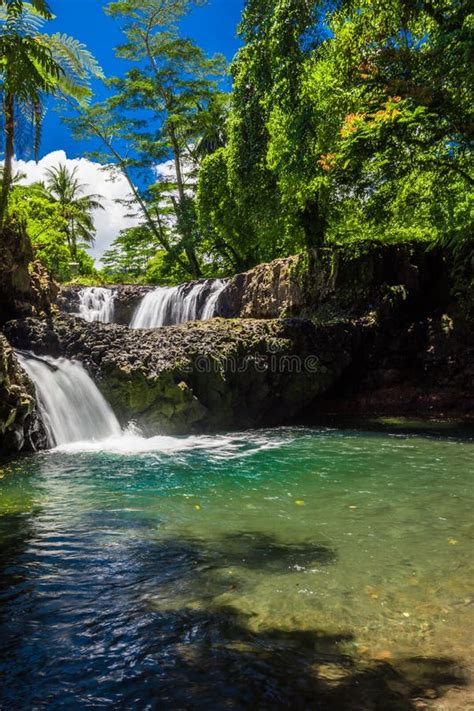 Vibrant Togitogiga Falls with Swimming Hole on Upolu, Samoa. Stock ...