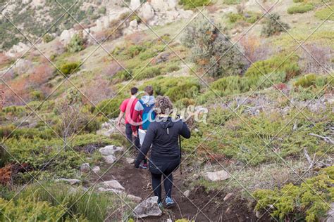 Group of People Hiking Together - Photos by Canva