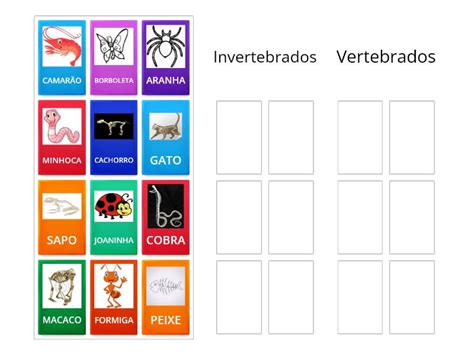 Animais Vertebrados E Invertebrados Classifica O De Grupo