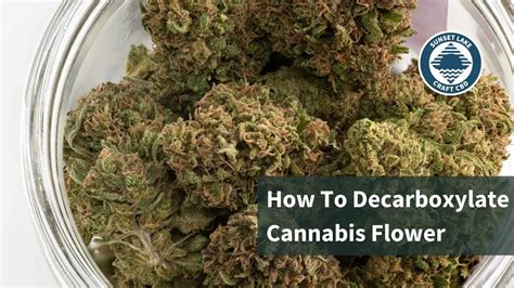 How To Decarboxylate Cannabis Step By Step Guide