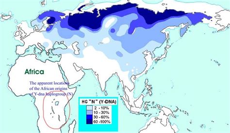 Haplogroup R - Supposedly The White peoples Genetics | Genetics ...