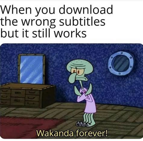 Wakanda forever 🙅🏼🙅🏼 : r/memes