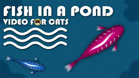 Cat Games Catching Fish In A Pond Fish Video For Cats To Watch