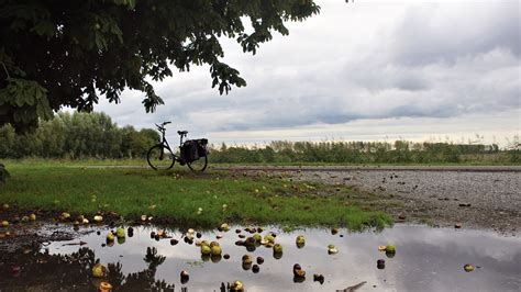 Nisse Door Piet Grim S Heerenhoek Bewolkt Weer Flickr