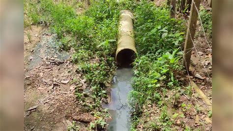 Denuncian Rebosamiento De Aguas Residuales En Barrio Primero De Octubre