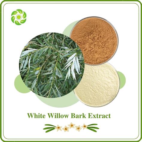 White Willow Bark Extract Willow Salix Alba Ext Extract Of Willow