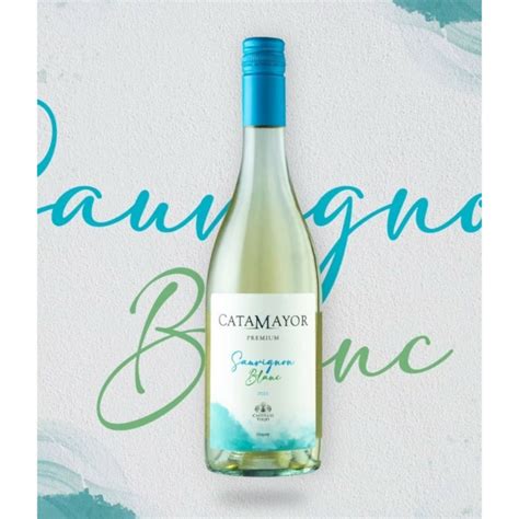 Bodega Castillo Viejo Catamayor Premium Sauvignon Blanc Las Vizcarras