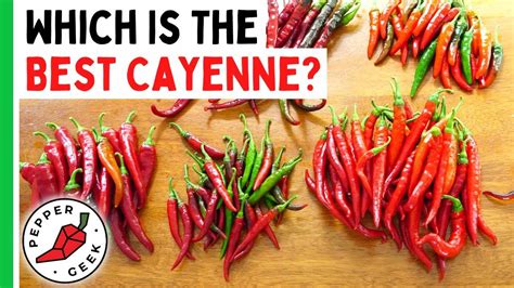 Some Like It Hot Cayenne Peppers Geek Stuff The Creator Stuffed