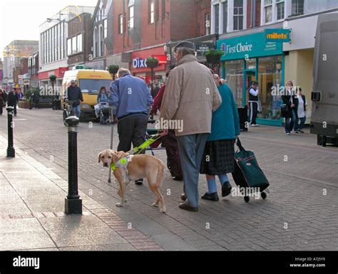 Blind Man Dog Hi Res Stock Photography And Images Alamy