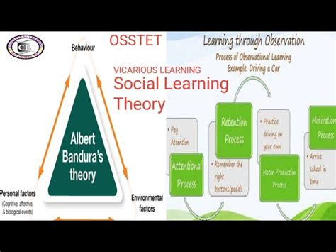 Social Learning Theory Bandura Atelier Yuwa Ciao Jp