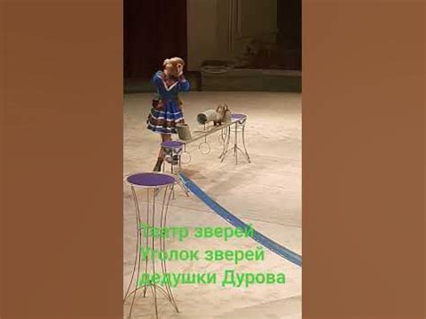 Театр зверей Уголок зверей дедушки Дурова - YouTube