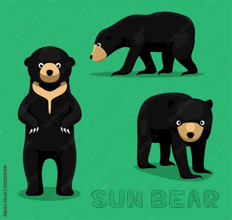 Bear Sun Bear Cartoon Vector Illustration Stock Vector | Adobe Stock