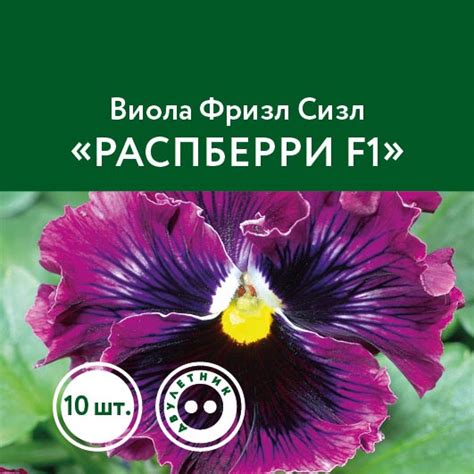 Цветы Виола
