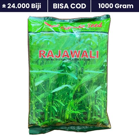 Jual Benih Bibit Kangkung Daun Lebar Unggul Rajawali Kg Gram