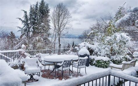 Does it Snow in Seattle? When & How Often Revealed (2025)