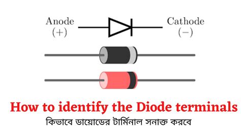 How To Identify The Diode Terminals Anode And Cathode Youtube