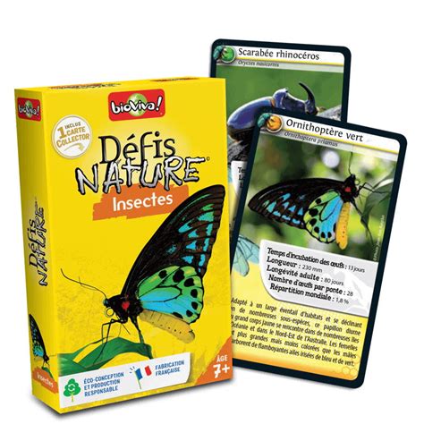 D Fis Nature Insectes Bioviva Tetard Et Nenuphar